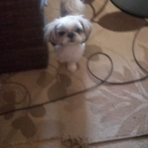 Meet your Posher, Julian